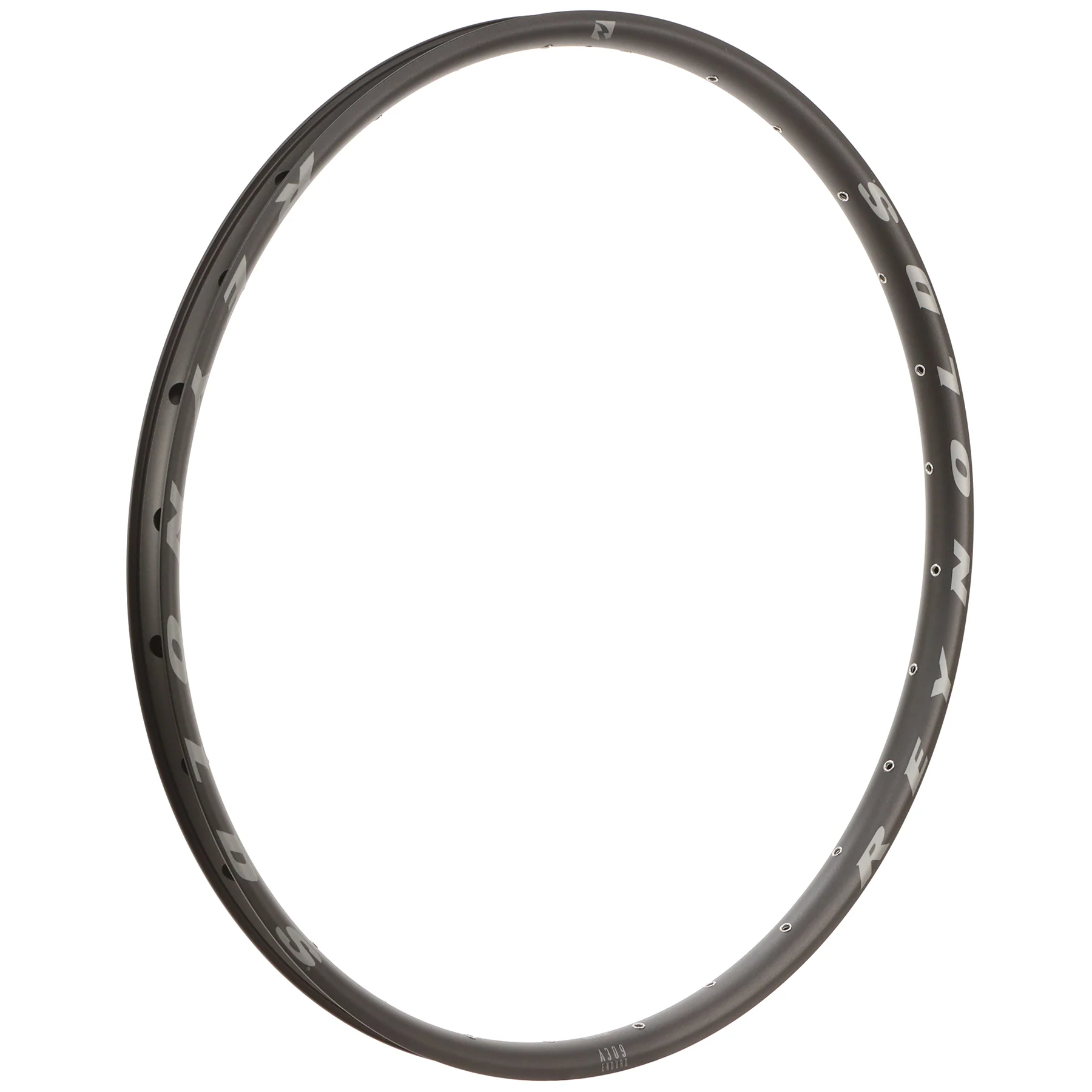 A307 DH Pro Rims