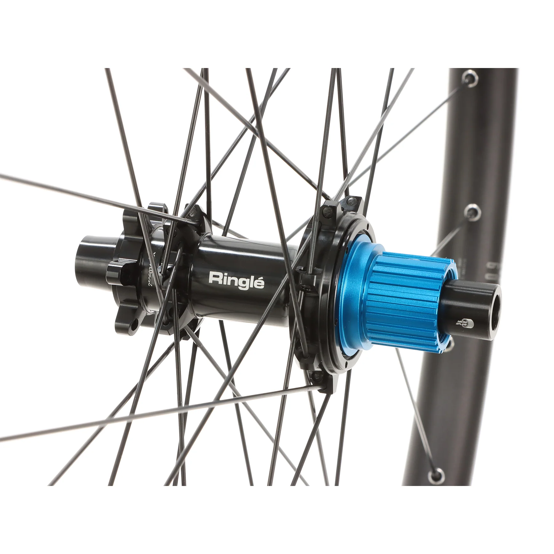 A307 Enduro Pro - Image 6