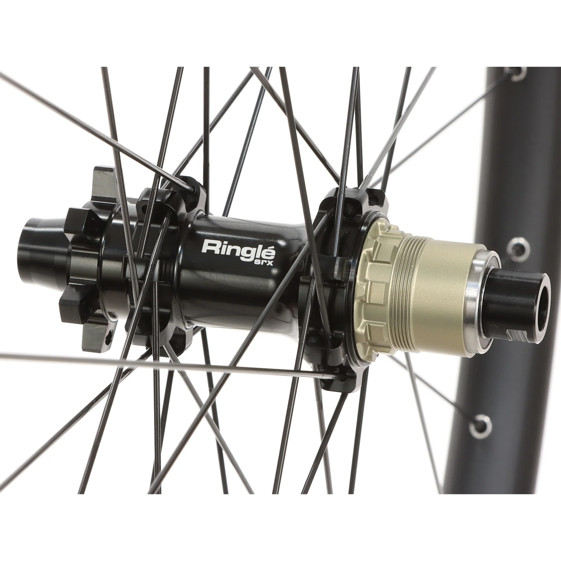 A309 Enduro Expert - Image 7